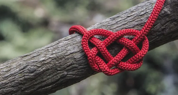 heart heart