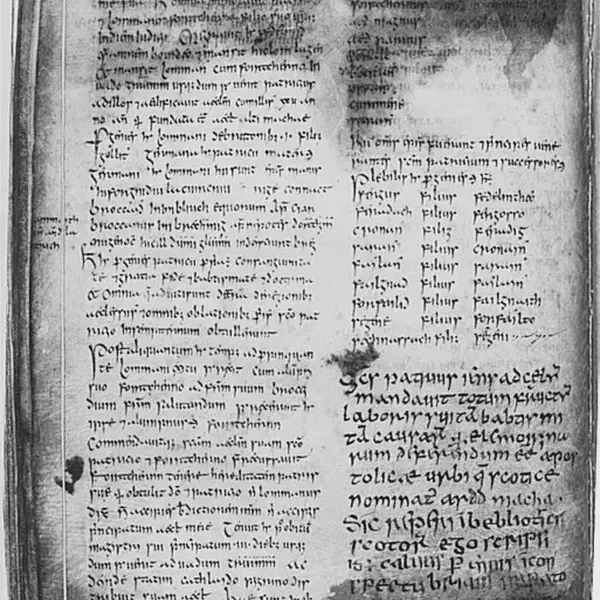 William Reeves, Church of Ireland bishop, is born in Charleville, Co. Cork