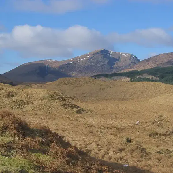 Battle of Dalry, Robert I, attacked and defeated John MacDougall of Lorne, kinsman of John Comyn.