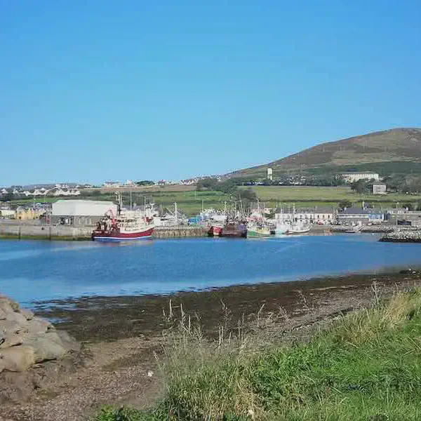 James fitz Maurice FitzGerald lands forces in Dingle